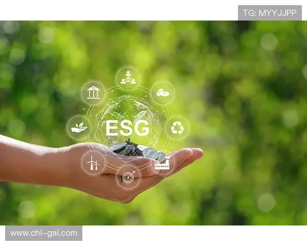 远华国际：绿色可持续发展理念在企业运营中的实践应用